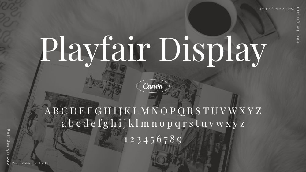 Playfair Display